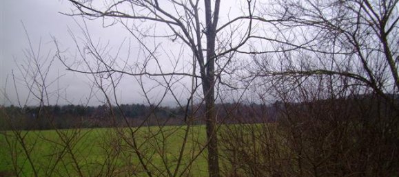 6 rooms House in Laterina Pergine Valdarno, Italy No. 229016 19