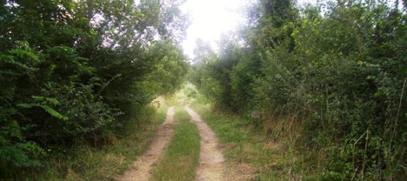 6 rooms House in Laterina Pergine Valdarno, Italy No. 229016 27