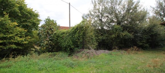 6 rooms House in Laterina Pergine Valdarno, Italy No. 229016 34