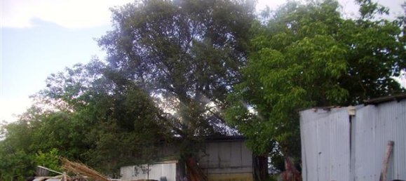 6 rooms House in Laterina Pergine Valdarno, Italy No. 229016 32