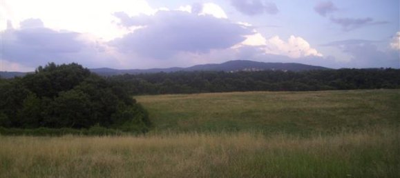 6 rooms House in Laterina Pergine Valdarno, Italy No. 229016 15