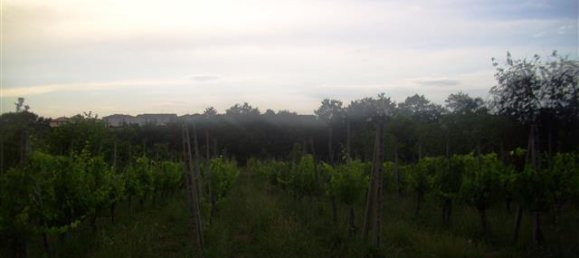 6 rooms House in Laterina Pergine Valdarno, Italy No. 229016 29