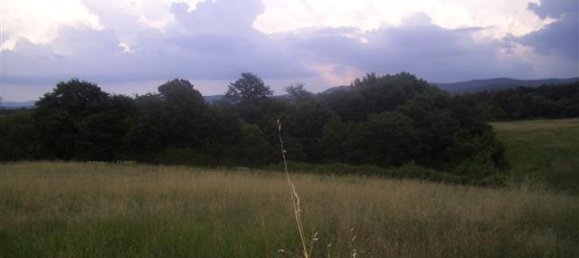 6 rooms House in Laterina Pergine Valdarno, Italy No. 229016 11