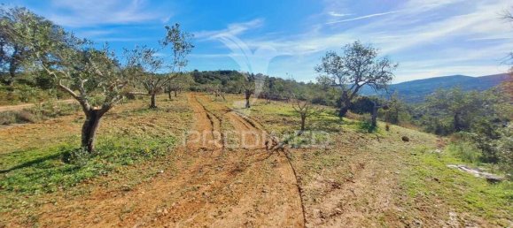 56502m² Land in Sao Bras de Alportel, Portugal No. 75131 2