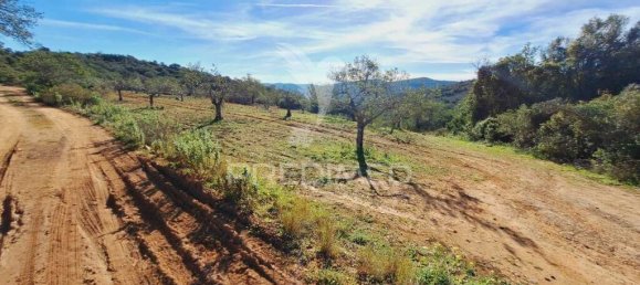 56502m² Land in Sao Bras de Alportel, Portugal No. 75131 3