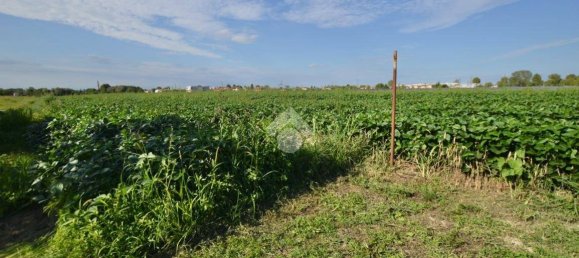 Terrain à San Donà di Piave, Italy 48543m² No. 307470 5