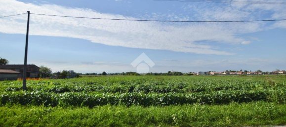 Terrain à San Donà di Piave, Italy 48543m² No. 307470 21