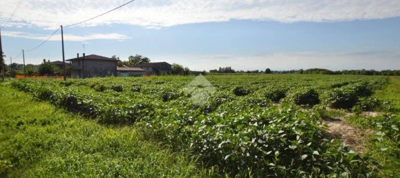 Terrain à San Donà di Piave, Italy 48543m² No. 307470 24