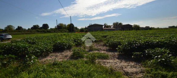 Terrain à San Donà di Piave, Italy 48543m² No. 307470 14