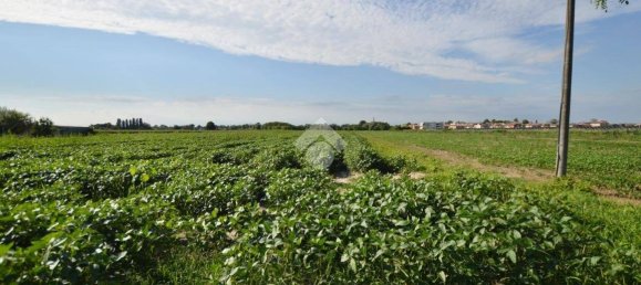 Terrain à San Donà di Piave, Italy 48543m² No. 307470 9