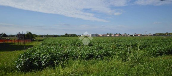 Terrain à San Donà di Piave, Italy 48543m² No. 307470 3