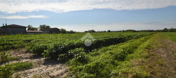 Terrain à San Donà di Piave, Italy 48543m² No. 307470 12