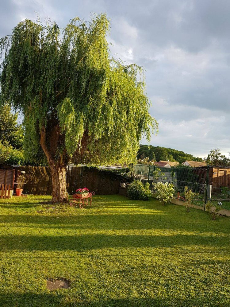 1 bedroom House in Essonne, France No. 334504