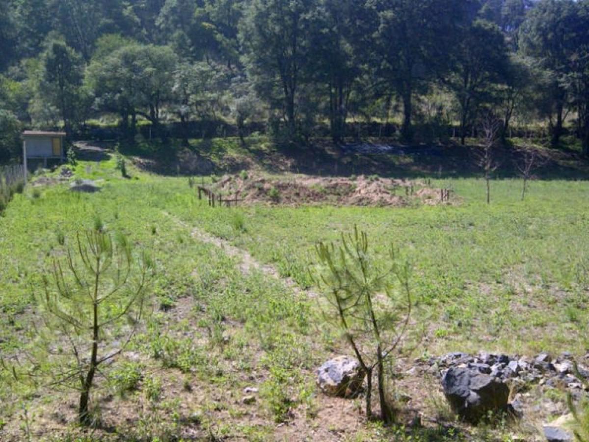 Grundstück in Lerma, Mexico, Nr. 203001