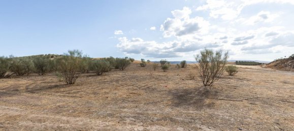  Land in Granada, Spain No. 149736 7