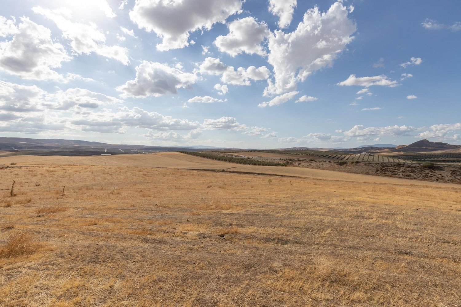  Land in Granada, Spain No. 149736