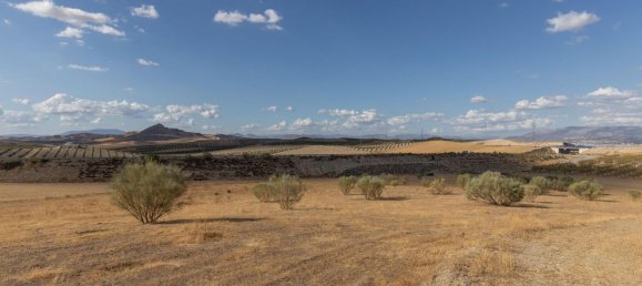  Land in Granada, Spain No. 149736 13