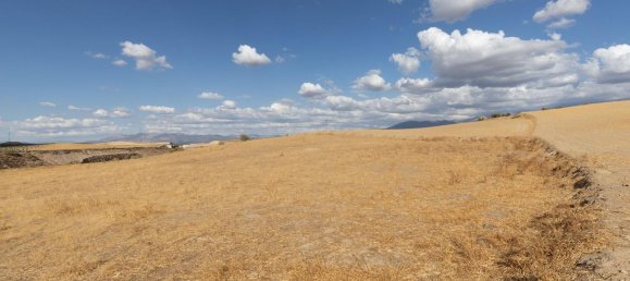  Land in Granada, Spain No. 149736 5