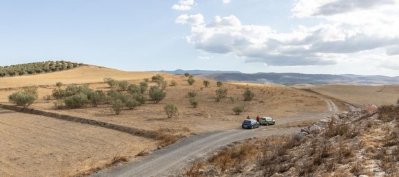  Land in Granada, Spain No. 149736 14