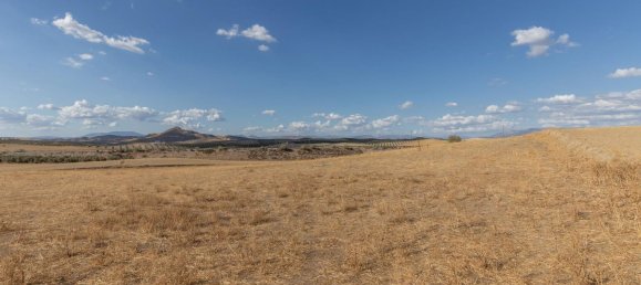  Land in Granada, Spain No. 149736 4