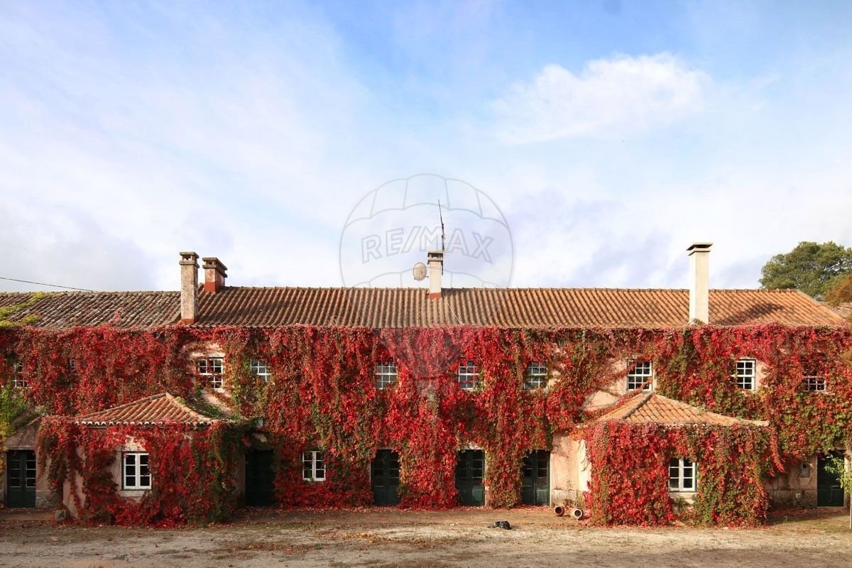 15 bedrooms House in Torres Vedras, Portugal No. 344605