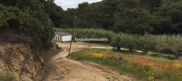 Casa T8 em Sant Pol de Mar, Spain N.º 65642 31