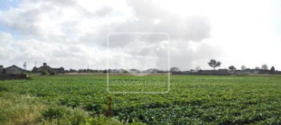 Grundstück in Montijo, Portugal 59882m², Nr. 43559 4