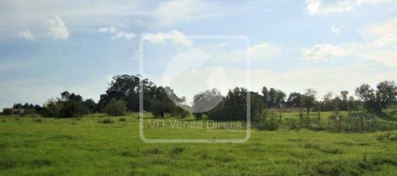 Grundstück in Montijo, Portugal 59882m², Nr. 43559 7