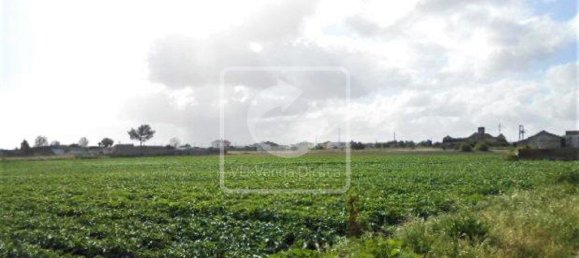 Grundstück in Montijo, Portugal 59882m², Nr. 43559 6