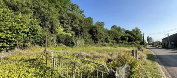 2 Schlafzimmer Stadthaus in Coiffy-le-Haut, France, Nr. 86253 25