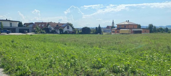  Land in Dorf an der Pram, Austria No. 42072 5