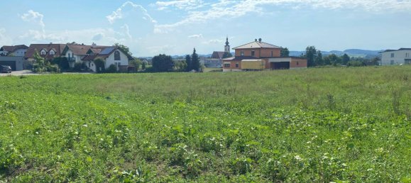  Land in Dorf an der Pram, Austria No. 42072 3