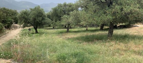 Terreno en Muro, France 3000 m² No. 360329 5