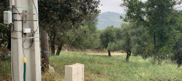 Terreno en Muro, France 3000 m² No. 360329 4