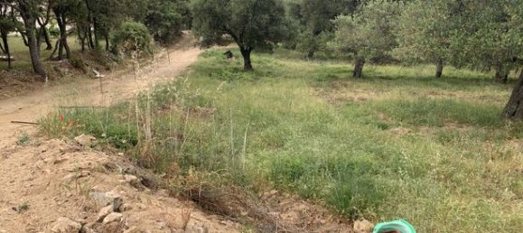 Terreno en Muro, France 3000 m² No. 360329 9