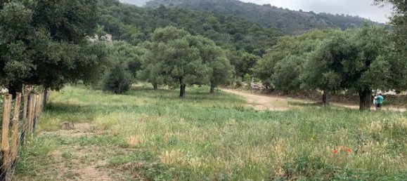 Terreno en Muro, France 3000 m² No. 360329 12