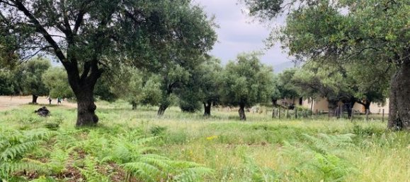 Terreno en Muro, France 3000 m² No. 360329 10