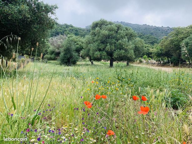 Terreno en Muro, France 3000 m² No. 360329