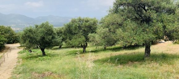 Terreno en Muro, France 3000 m² No. 360329 6