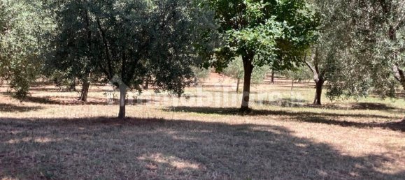 Дом с 3 спальнями в Оффанья, Италия № 221550 12