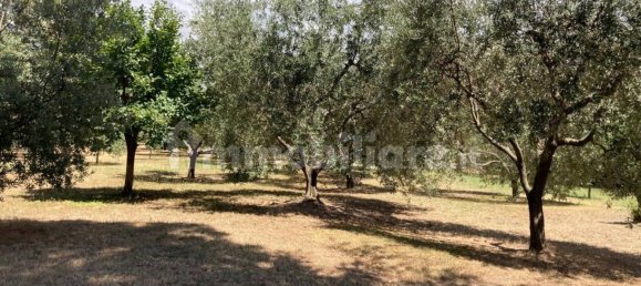 Дом с 3 спальнями в Оффанья, Италия № 221550 10