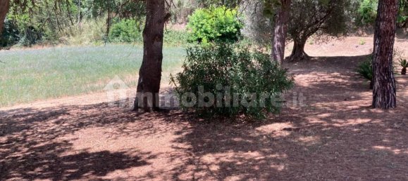 Дом с 3 спальнями в Оффанья, Италия № 221550 13