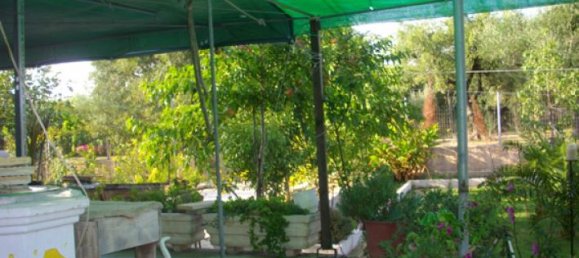 4 bedrooms Property in Zakynthos, Greece No. 563 6