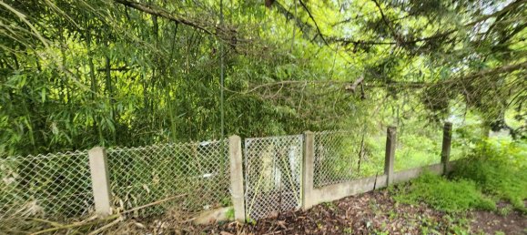 3 bedrooms House in Pruniers-en-Sologne, France No. 63432 16