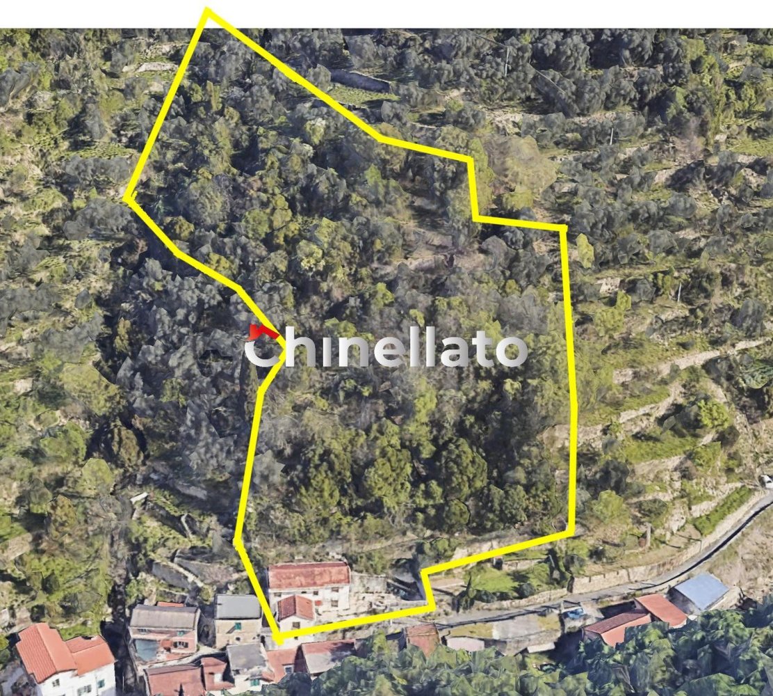 4-salle Villa à Genoa, Italy No. 10482