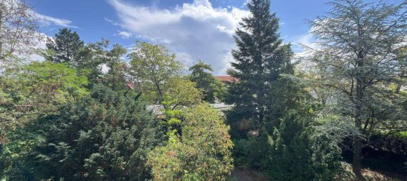 12-salle Propriété commerciale à Saalekreis, Germany No. 289520 10