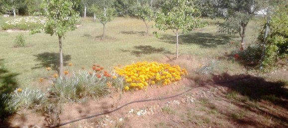 4 bedrooms House in Valdebotoa, Spain No. 121753 92