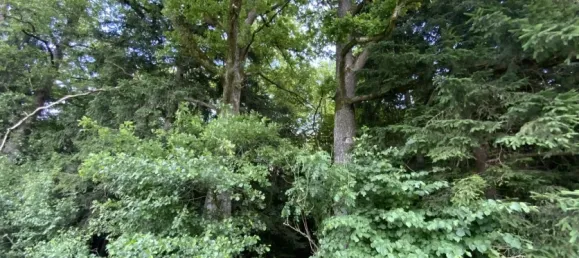  Land in Rosenheim, Germany No. 219893 4