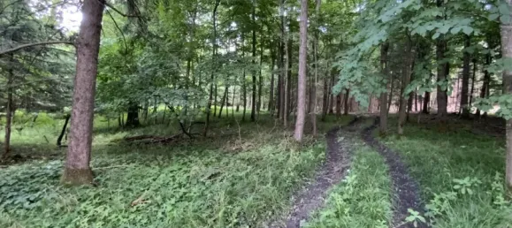  Land in Rosenheim, Germany No. 219893 5