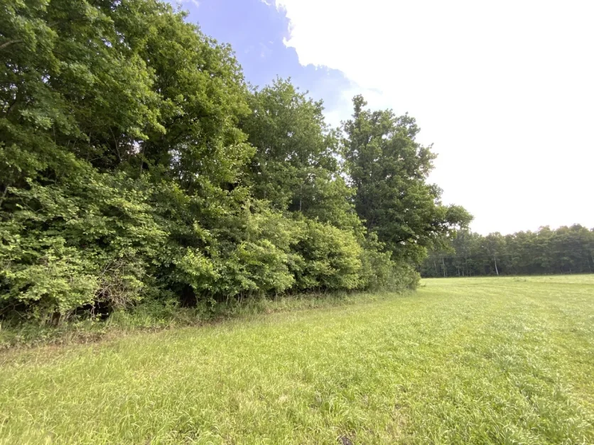  Land in Rosenheim, Germany No. 219893